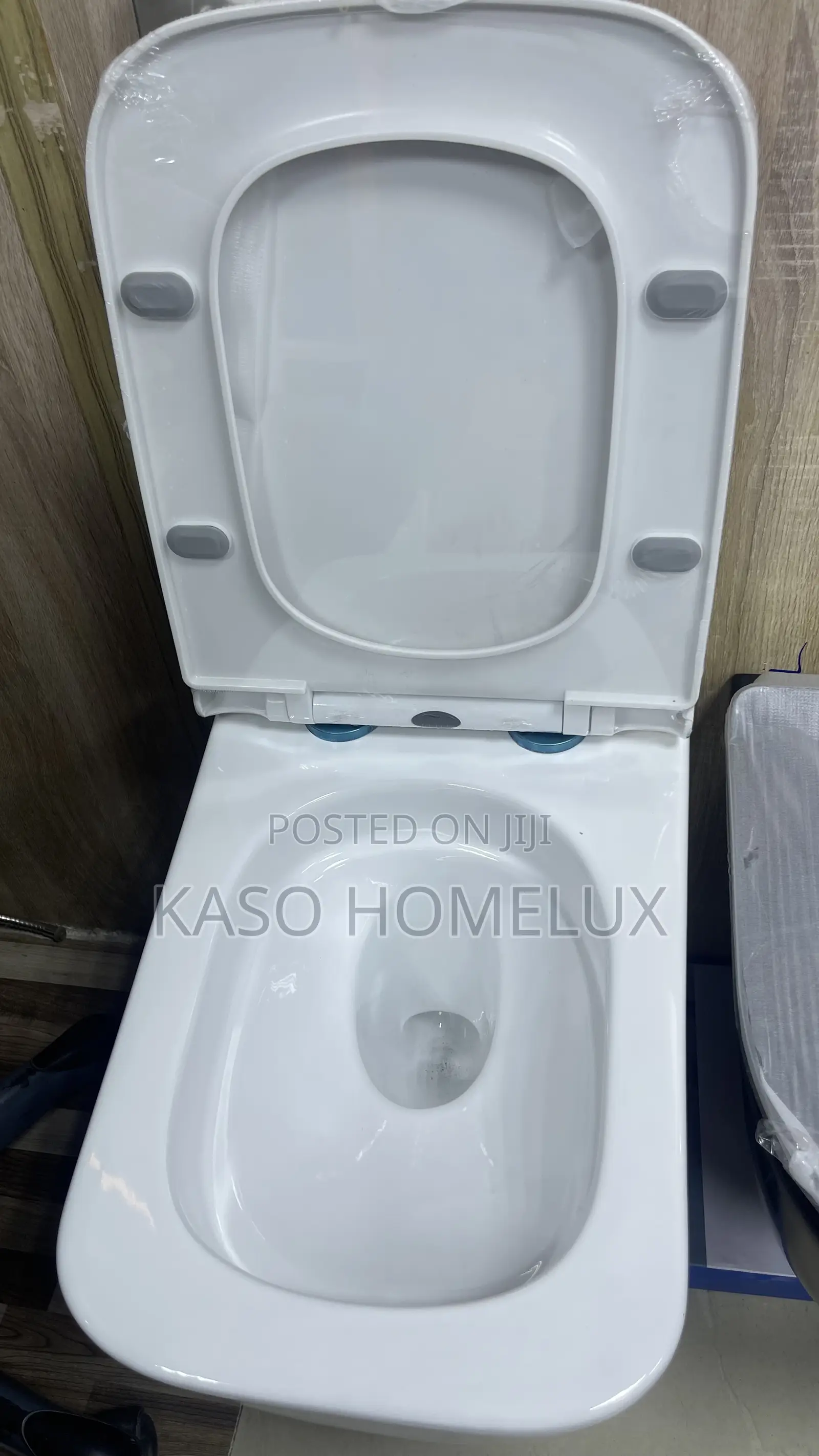 White Conceal Wall Hung Wc