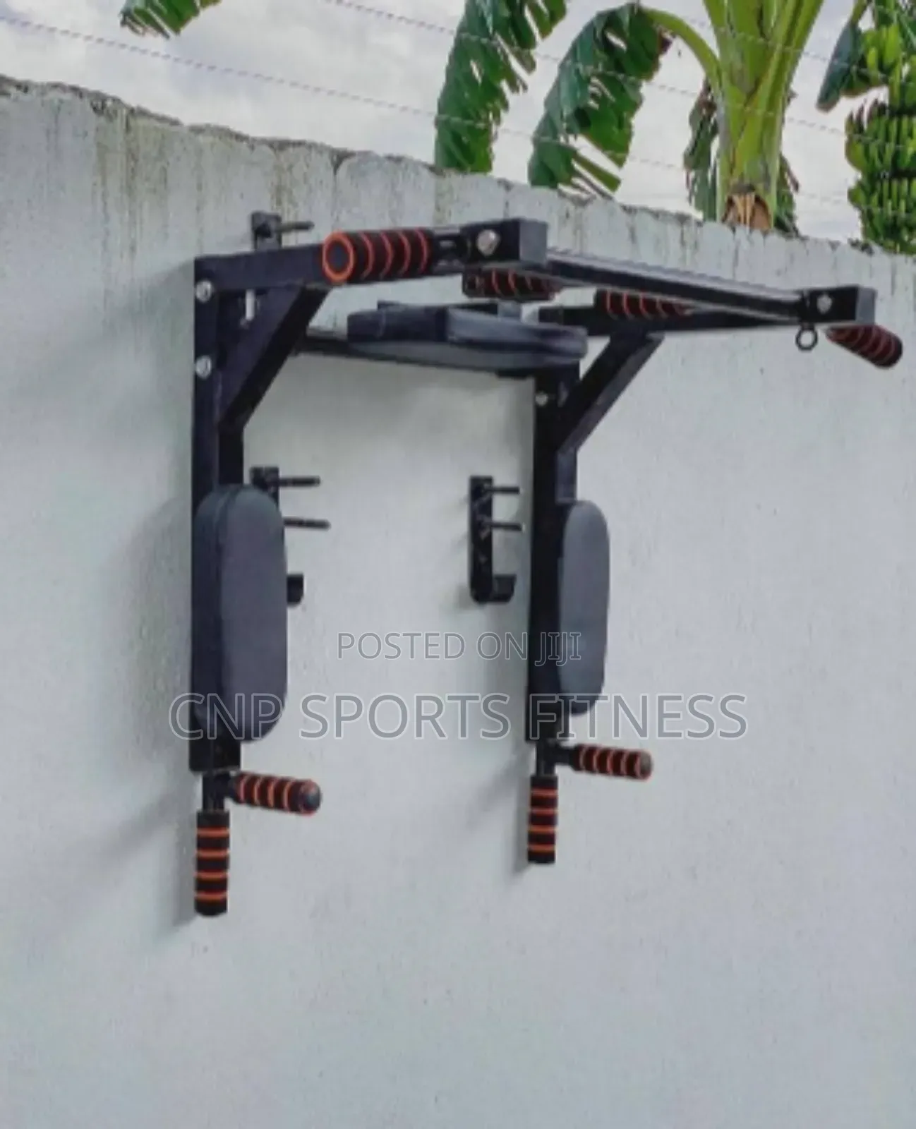 Multifunction Wall Mounted Pull Up