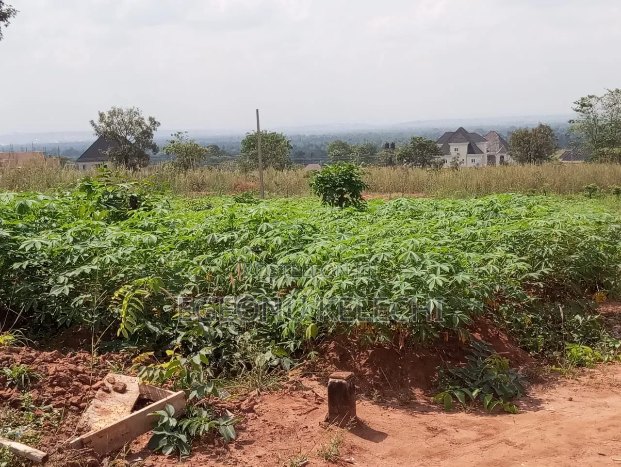 Lands for Sale