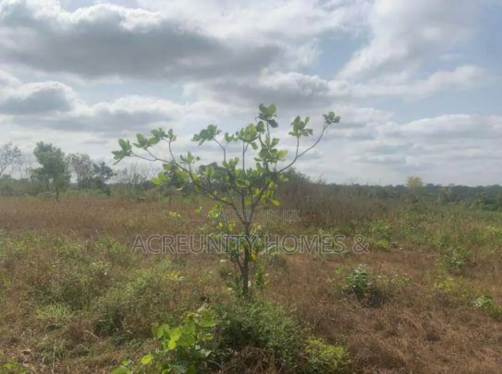28 Acres of Land at Saki-Ogbooro Express Way, Saki East Lg, Oyo State