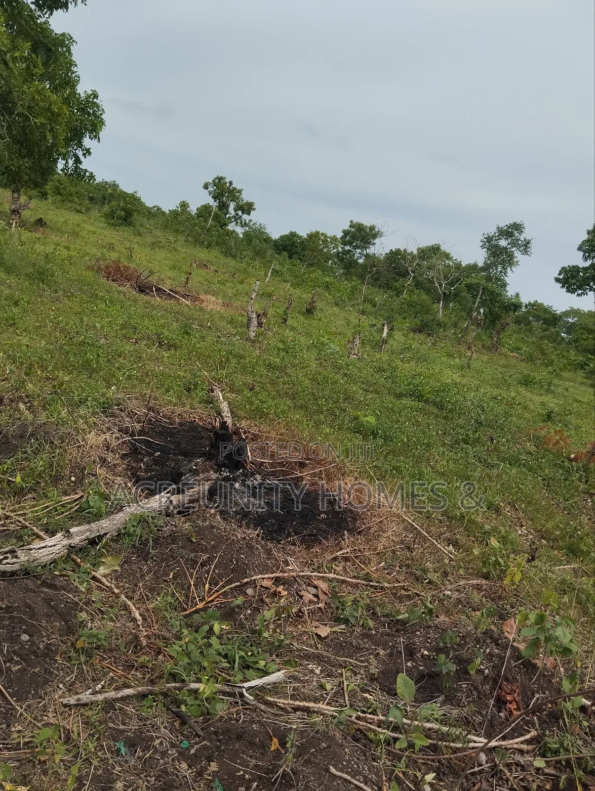 28 Acres of Land at Saki-Ogbooro Express Way, Saki East Lg, Oyo State