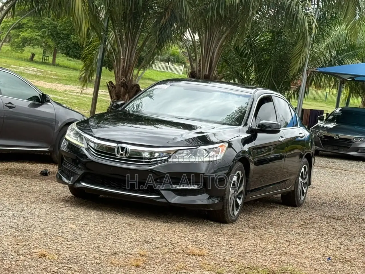 Honda Accord EX-L V-6 4dr Sedan FWD (3.5L 6cyl 6A) 2016 Black