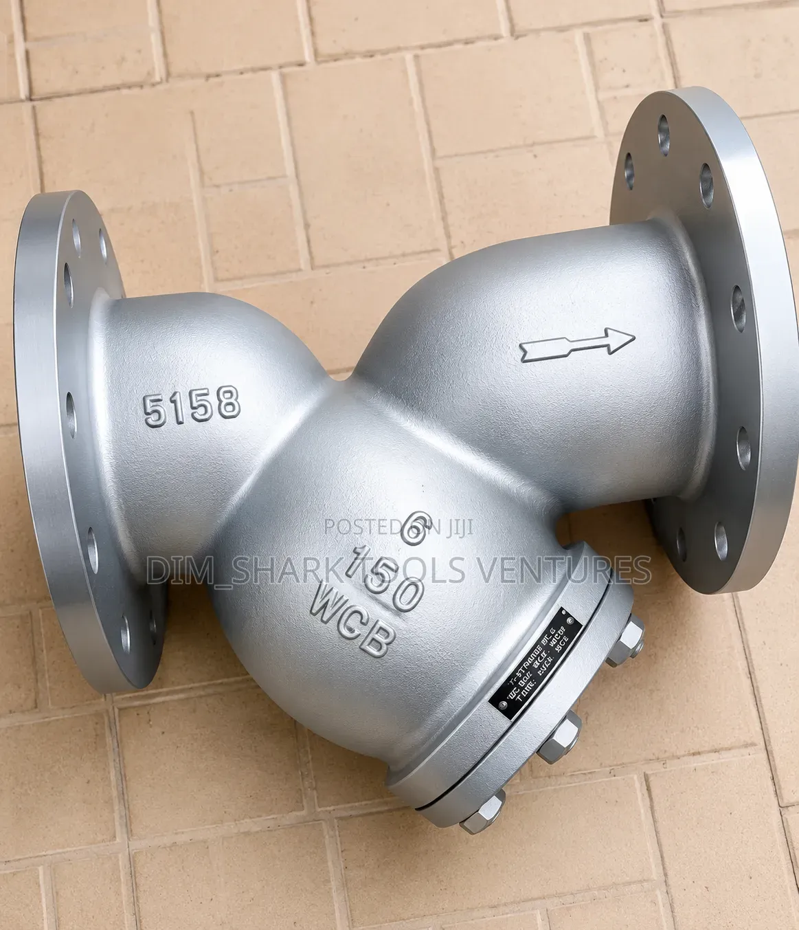 6"Inches Galvanize Y Strainer(Dn150)Pn16