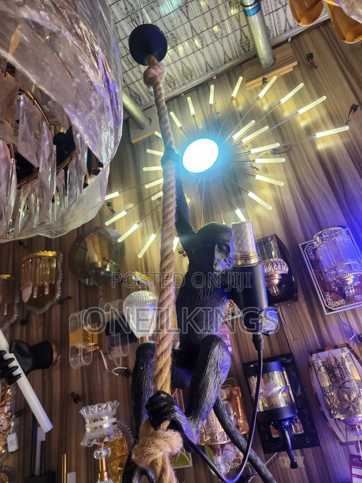 Monkey Light