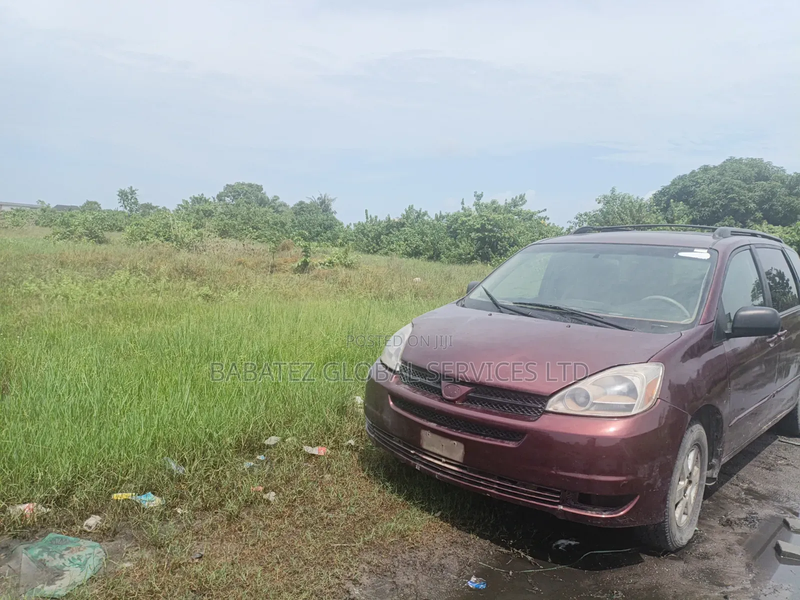 Toyota Sienna 2005 Brown