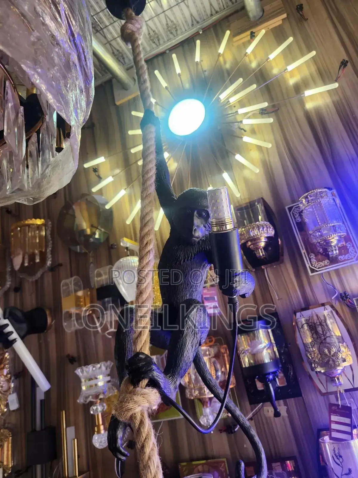 Monkey Light