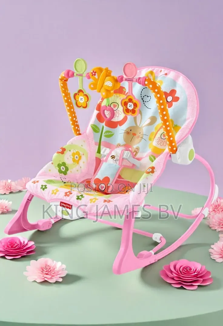 Infant to Toddler Rocker