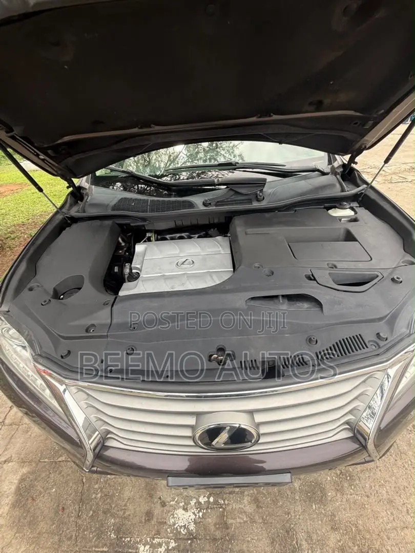 Lexus RX 2013 Brown