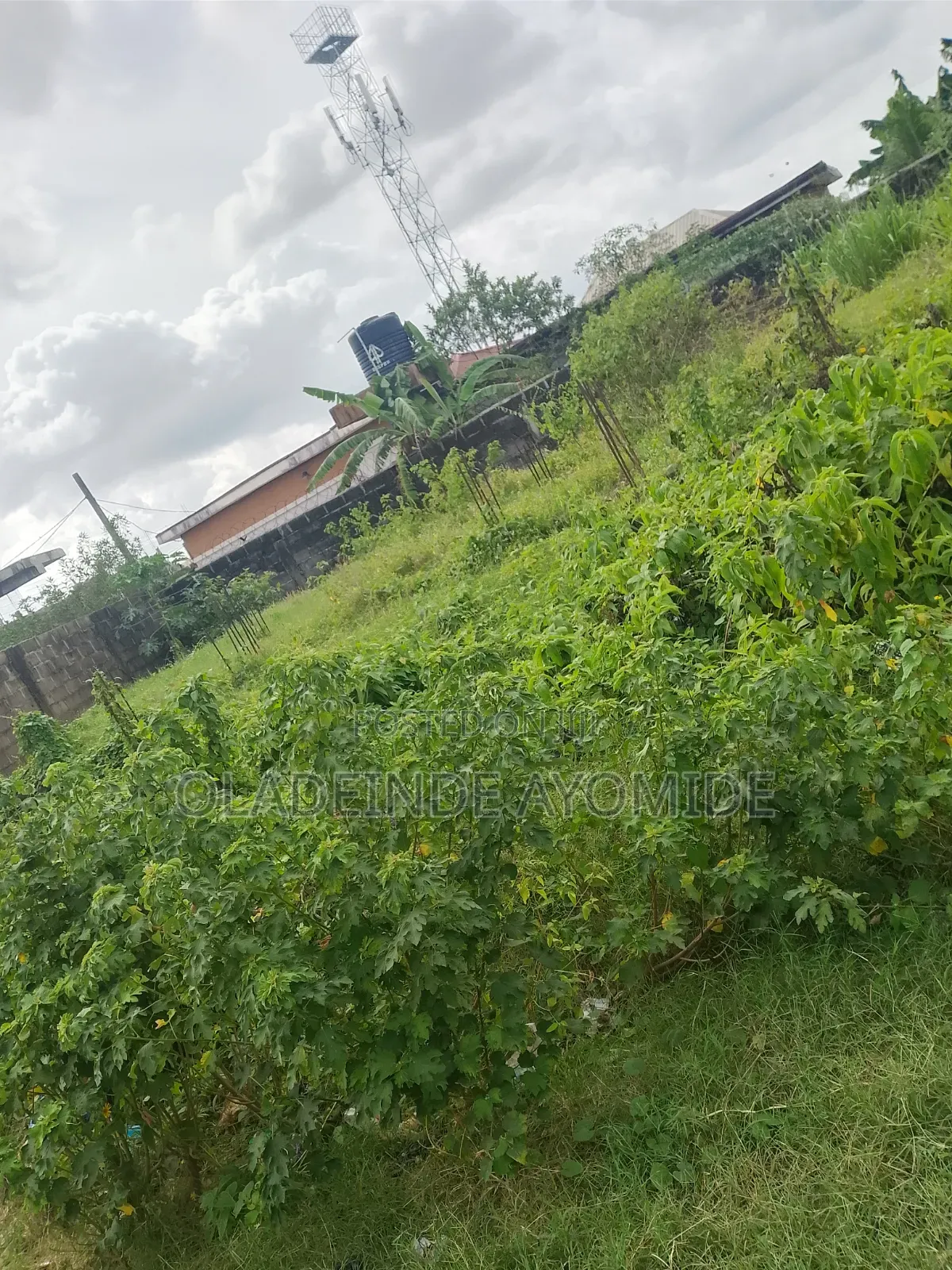 A Plot (650sqm) of Dryland at Abijo