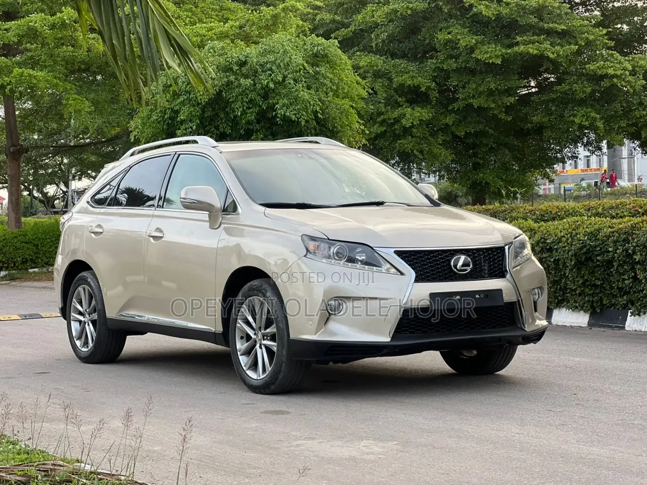 Lexus RX 350 AWD 2014 Gold
