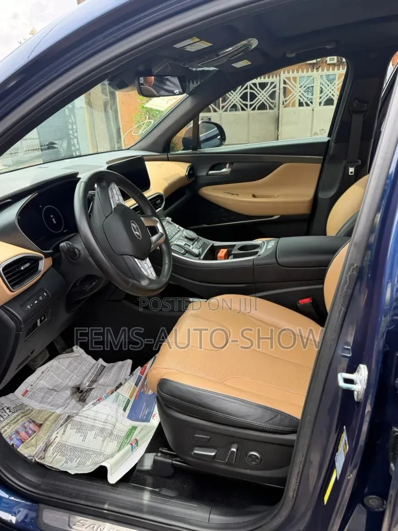 Hyundai Santa Fe 2022 Blue