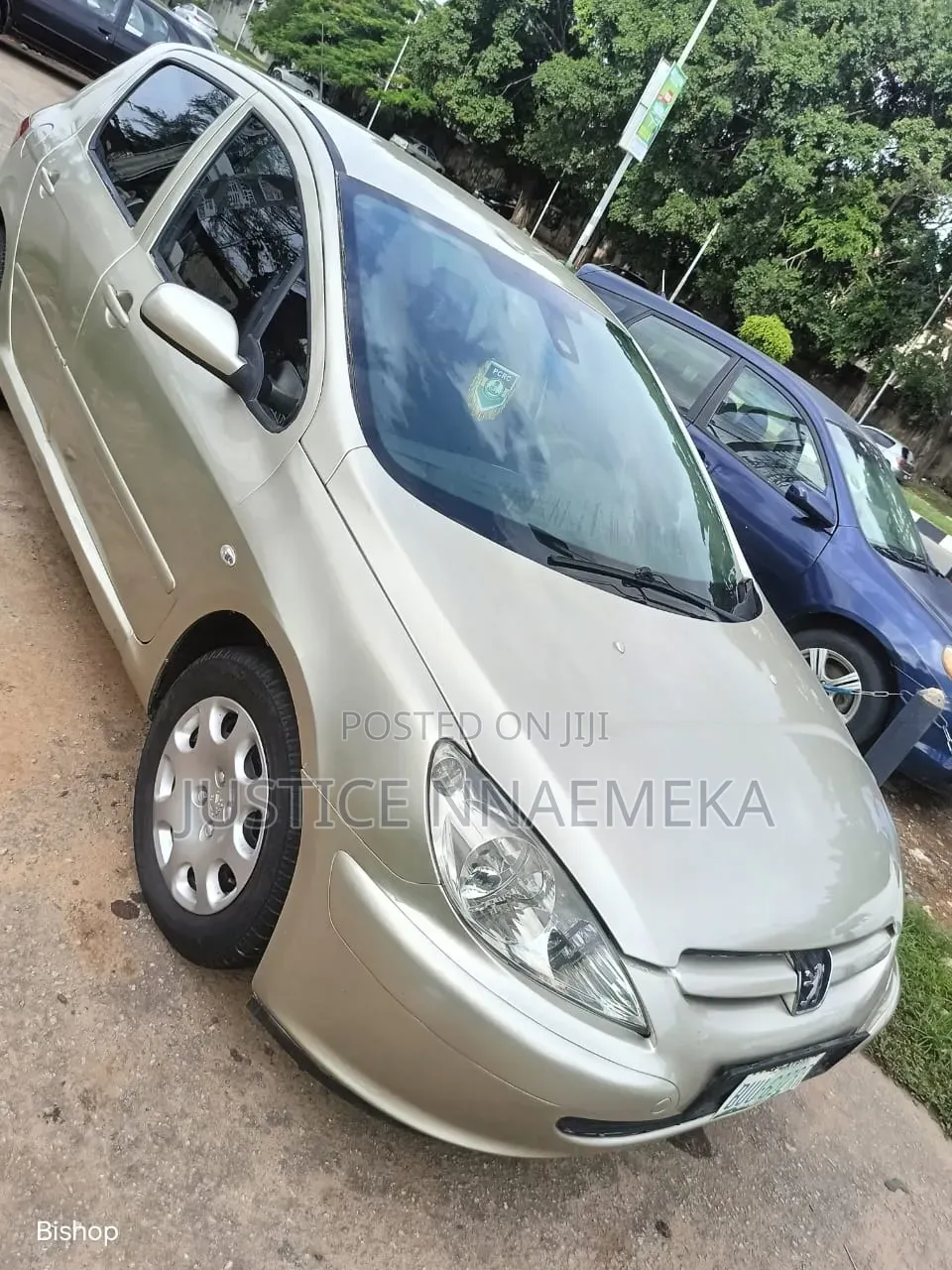 Peugeot 307 2007 Silver