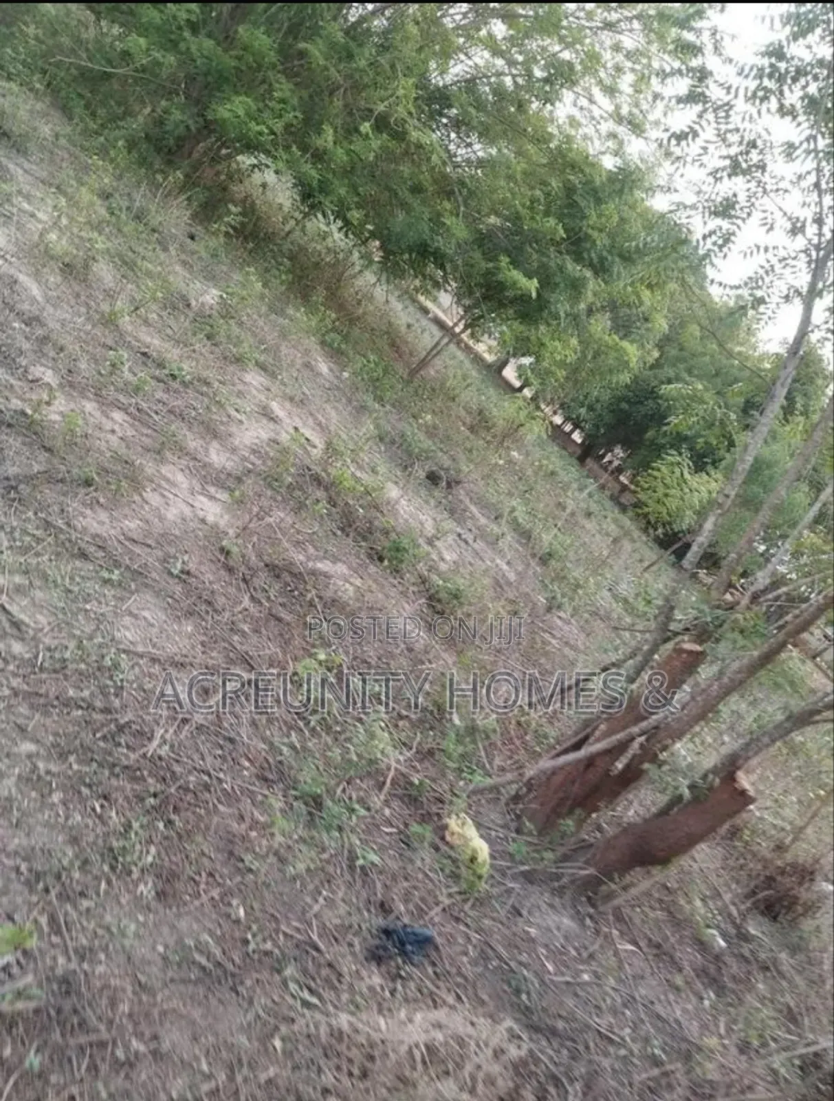 6 Plots of Land at Lautech, Iseyin Campus for Sale. Iseyin, Oyo State