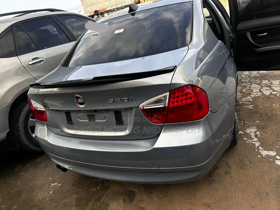 BMW 320i 2010 Gray