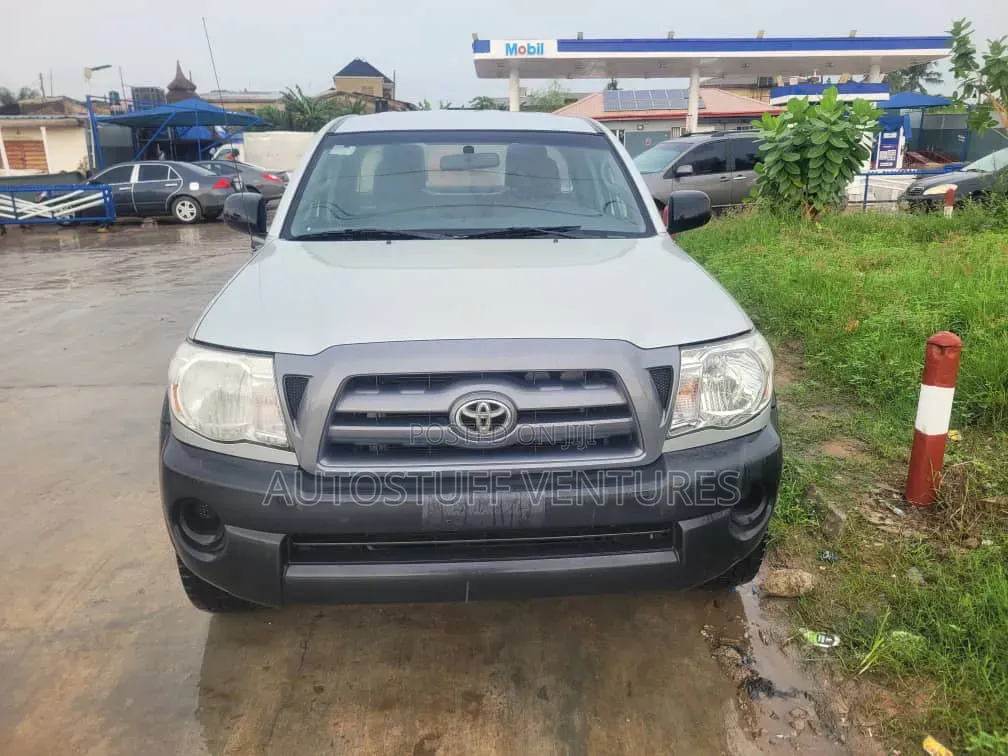 Toyota Tacoma 2010 Silver