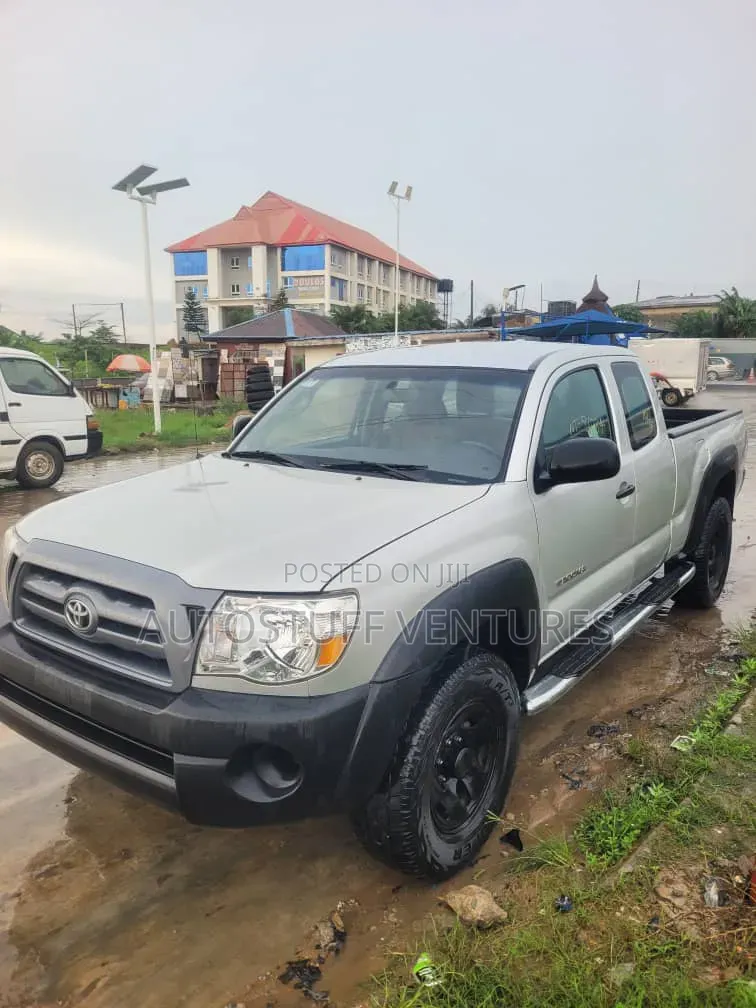 Toyota Tacoma 2010 Silver