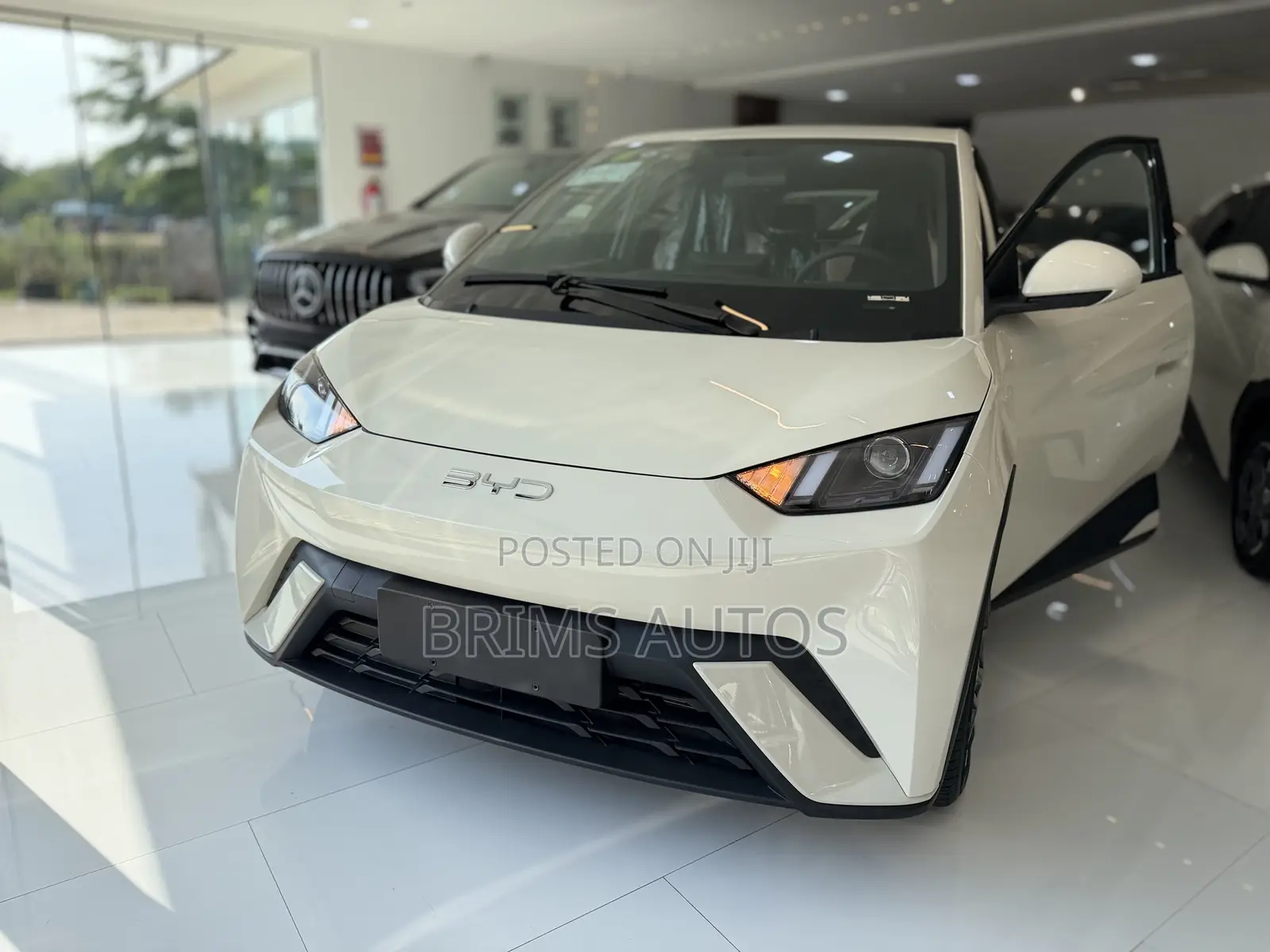 New BYD Seagull 2025 Off white
