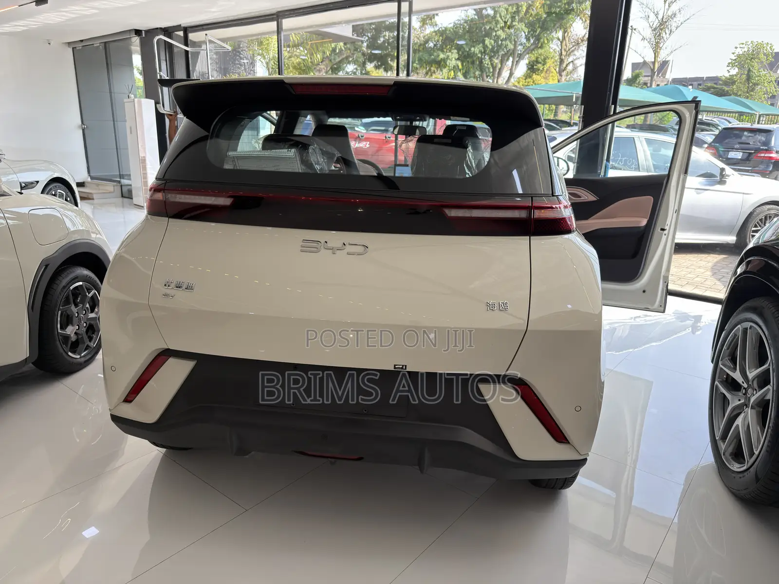 New BYD Seagull 2025 Off white