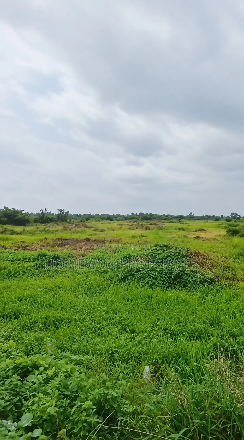 34 Plots of Land at Jesuit for Sale