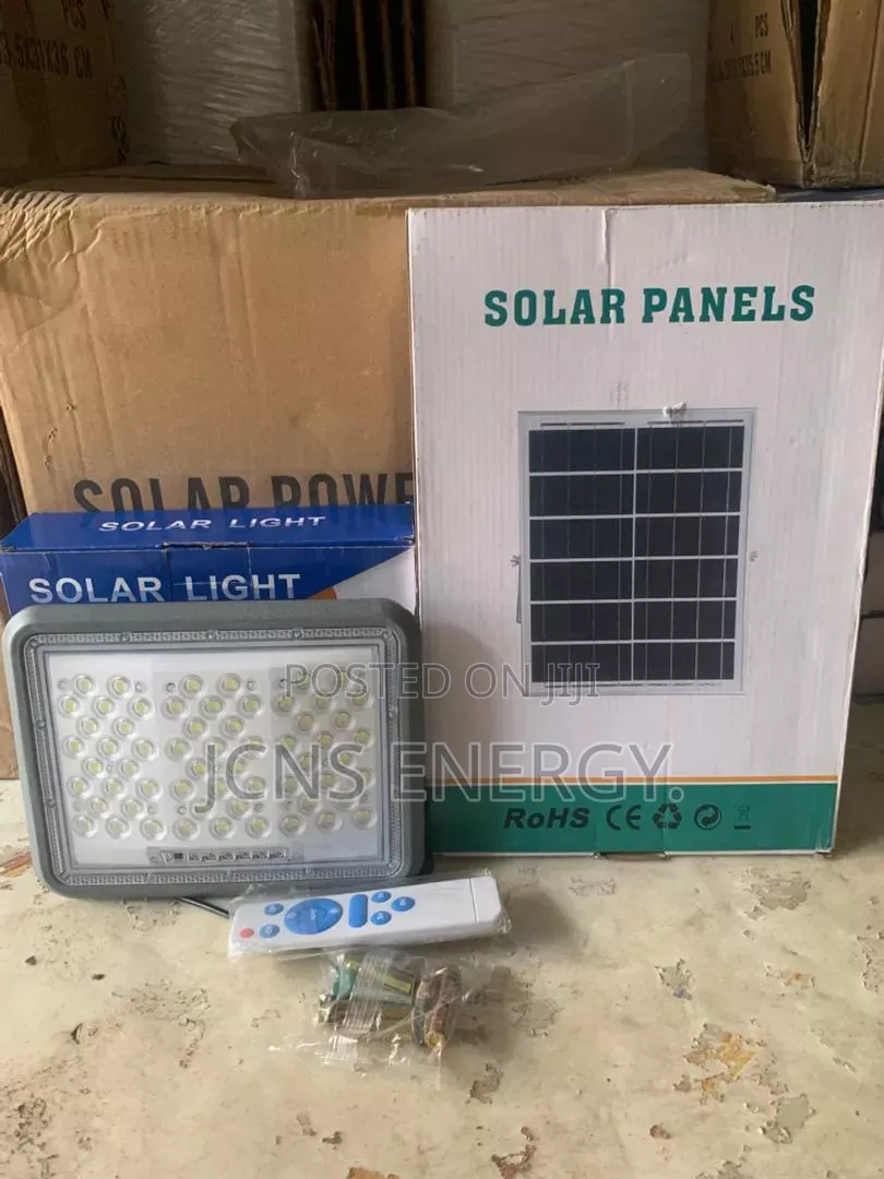 100w Flood Light