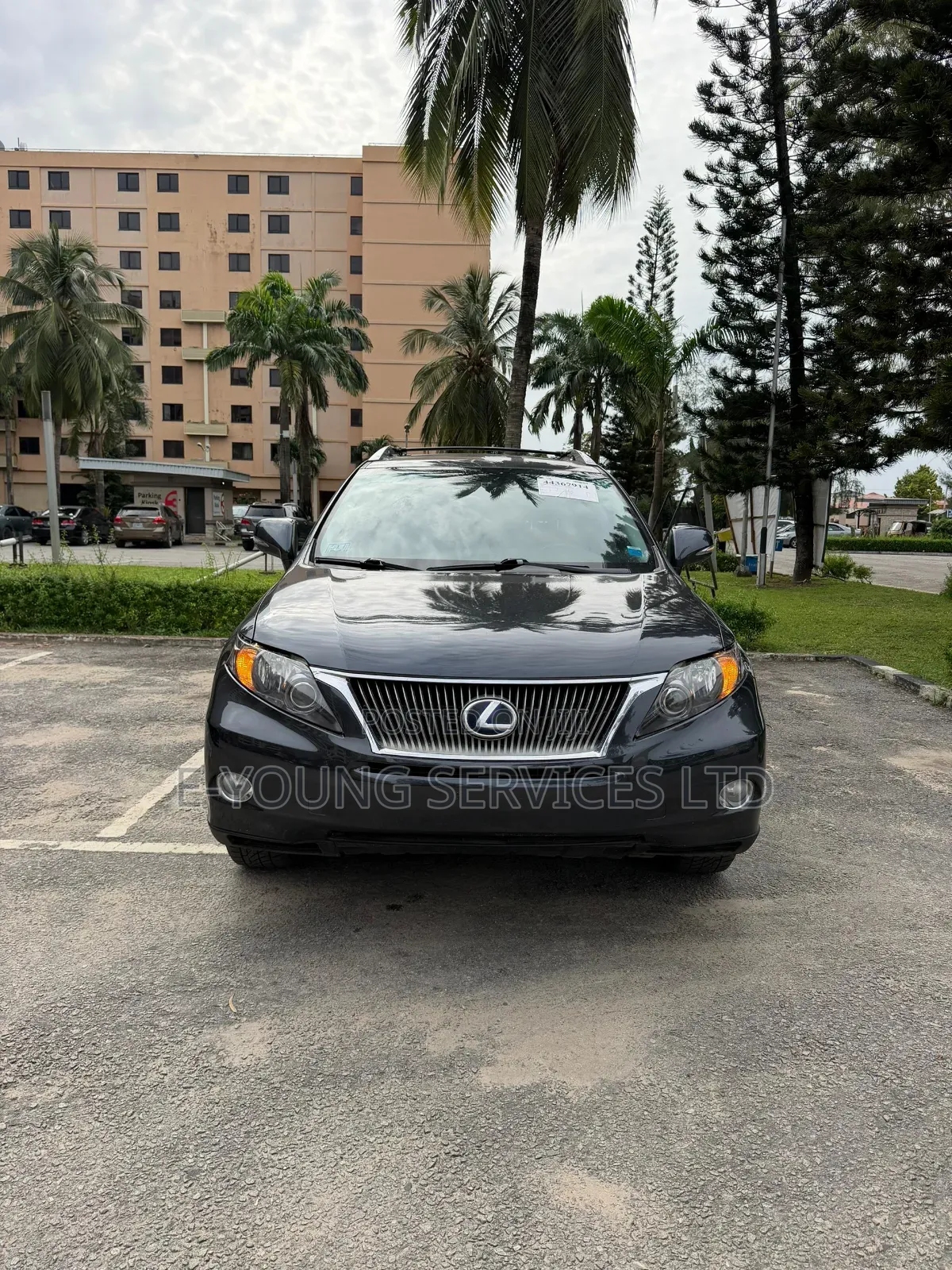Lexus RX 2010 Gray