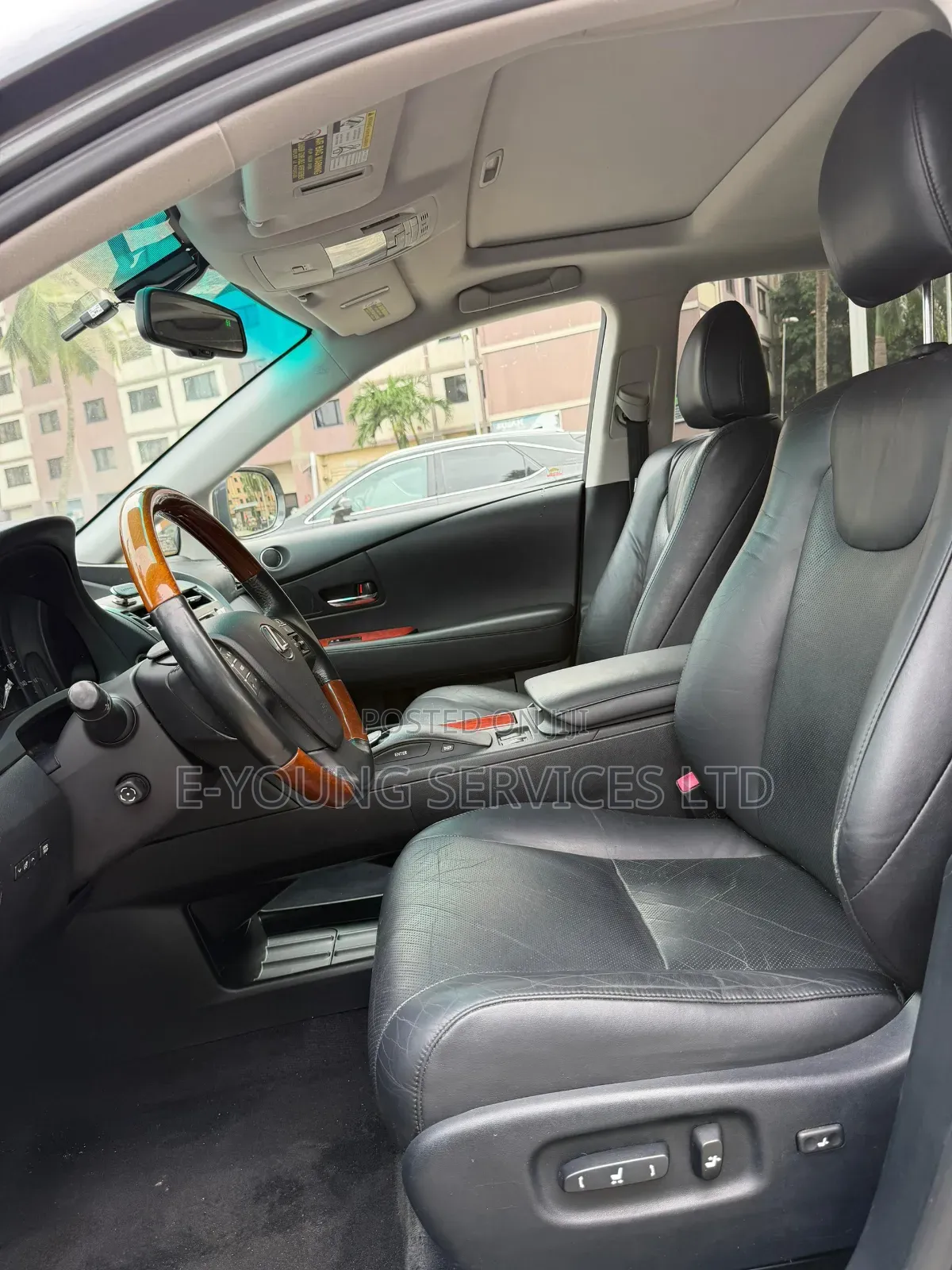 Lexus RX 2010 Gray
