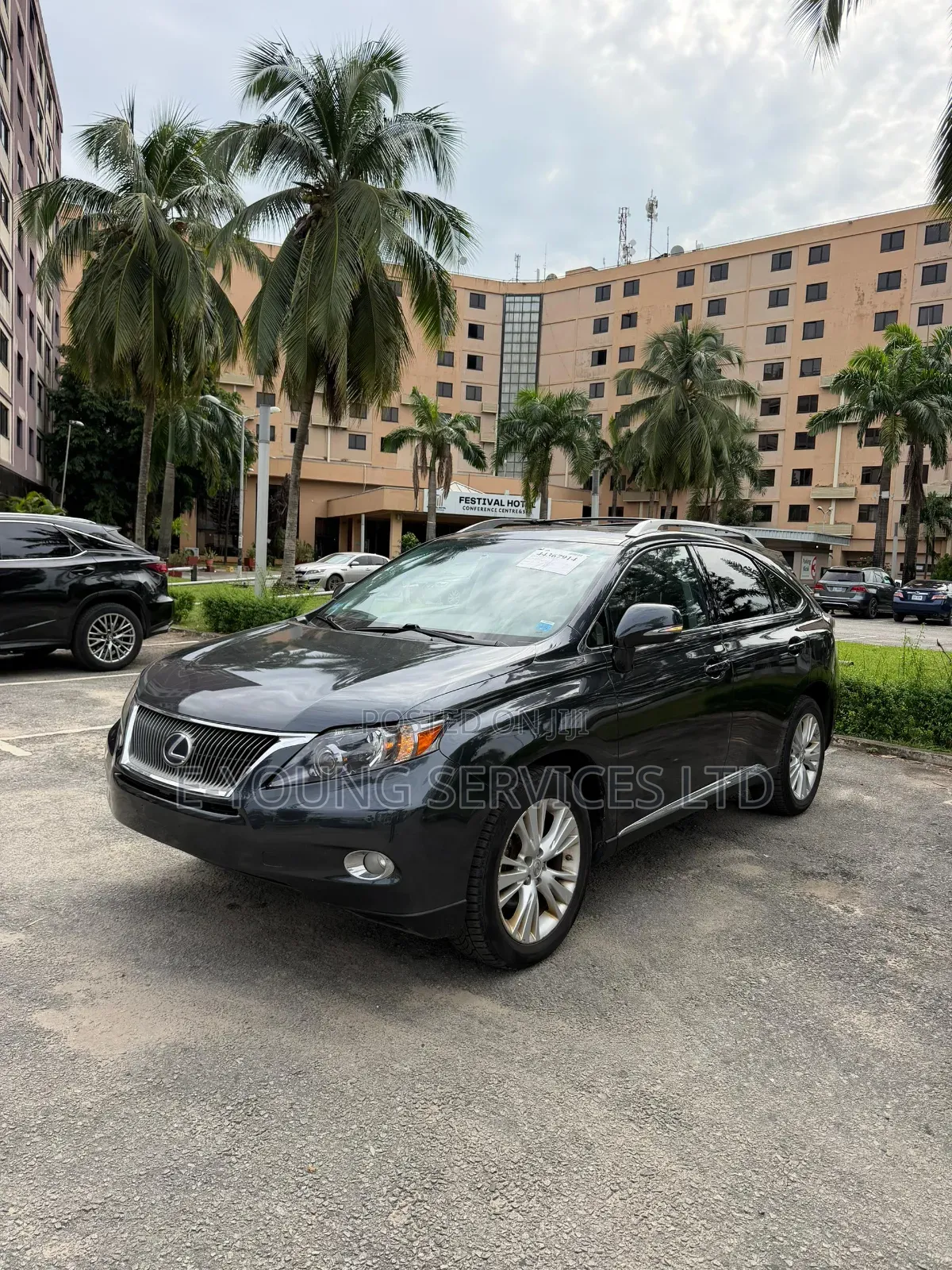 Lexus RX 2010 Gray