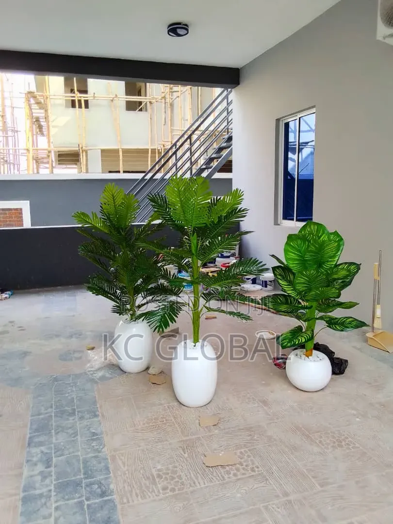 Parlor Flower Available for Outdoor and Indoor Decor