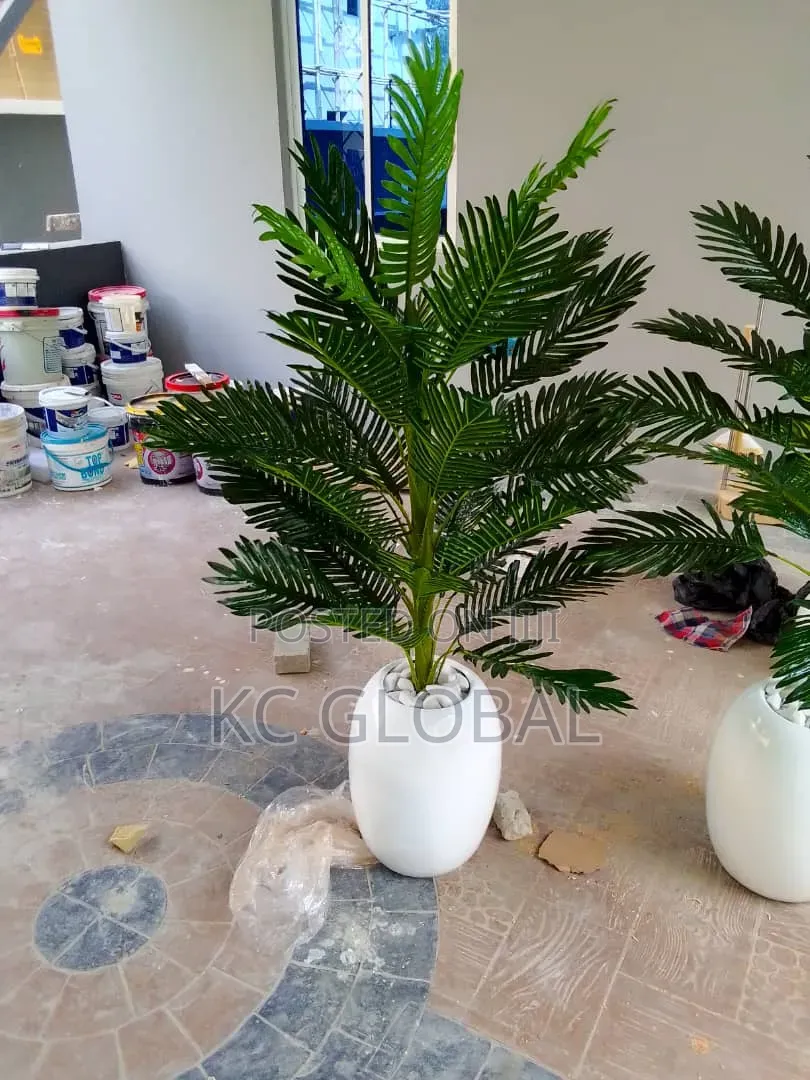 Parlor Flower Available for Outdoor and Indoor Decor