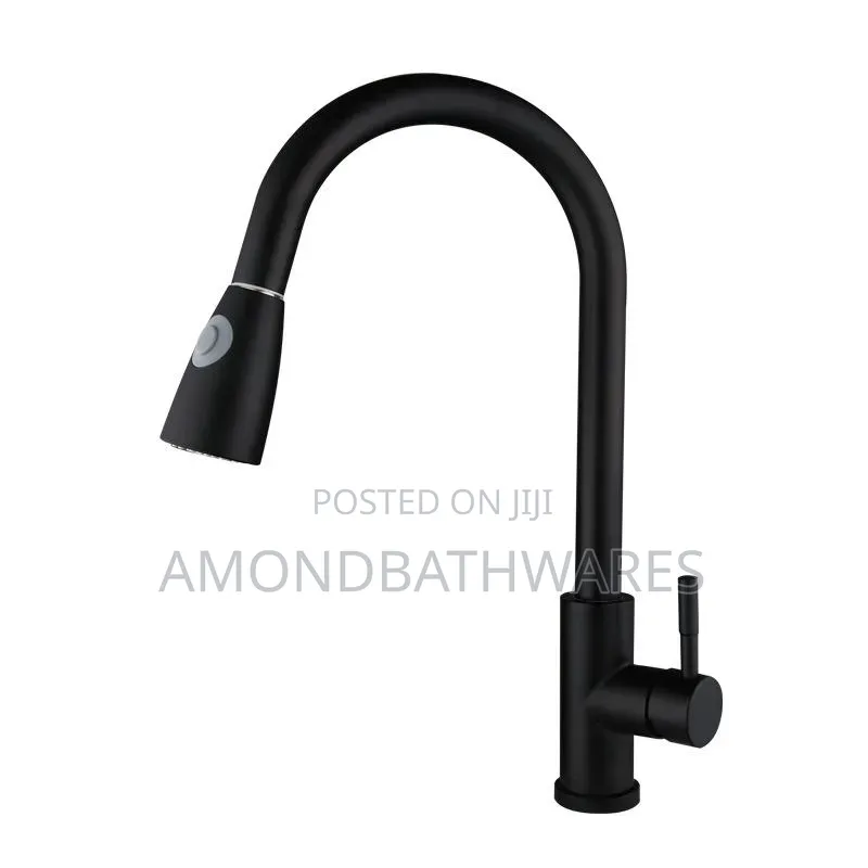 Pull Out Kitchen Sink Faucet 002