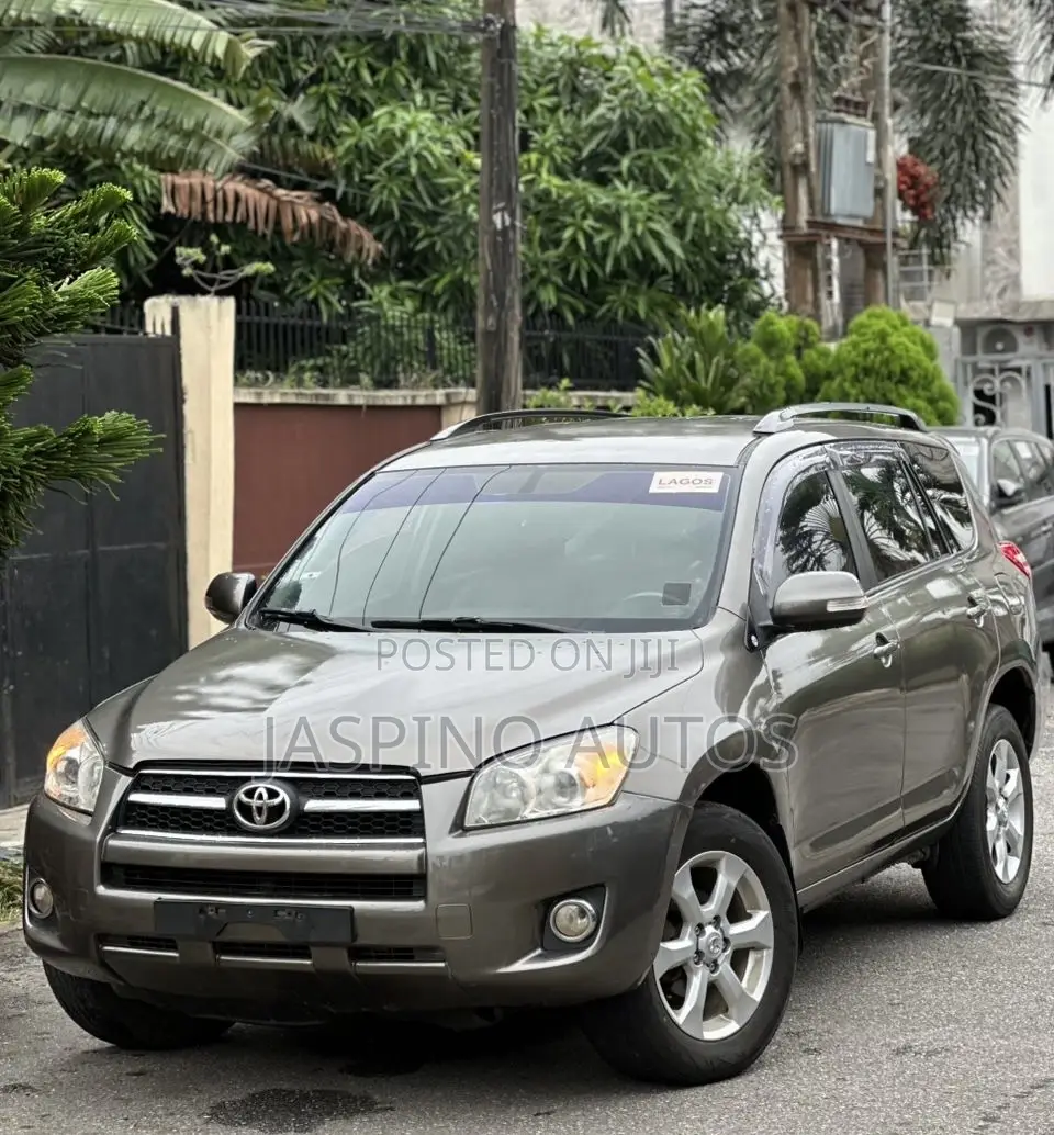 Toyota RAV4 2010 Gray