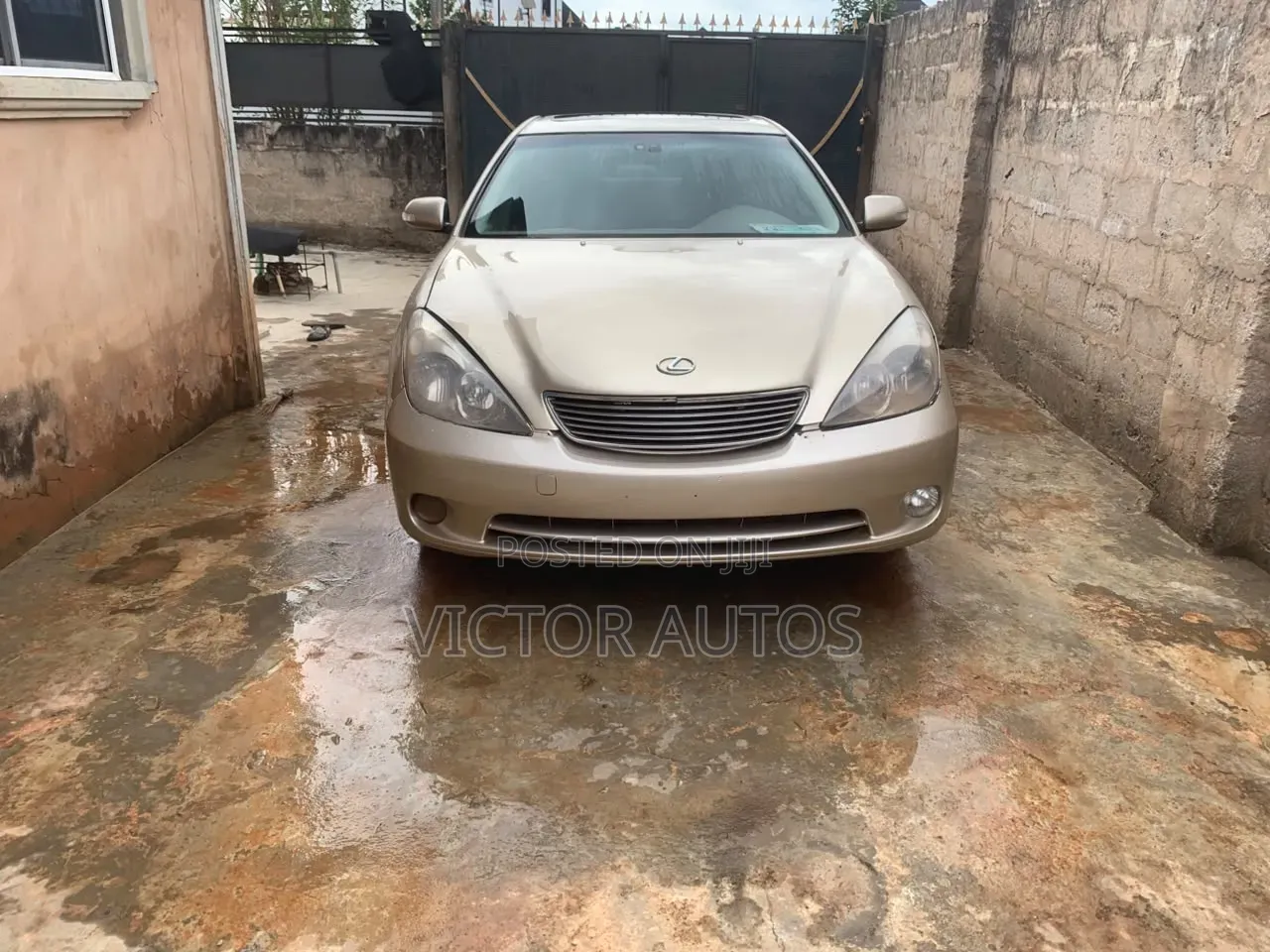 Lexus ES 330 Sedan 2004 Gold