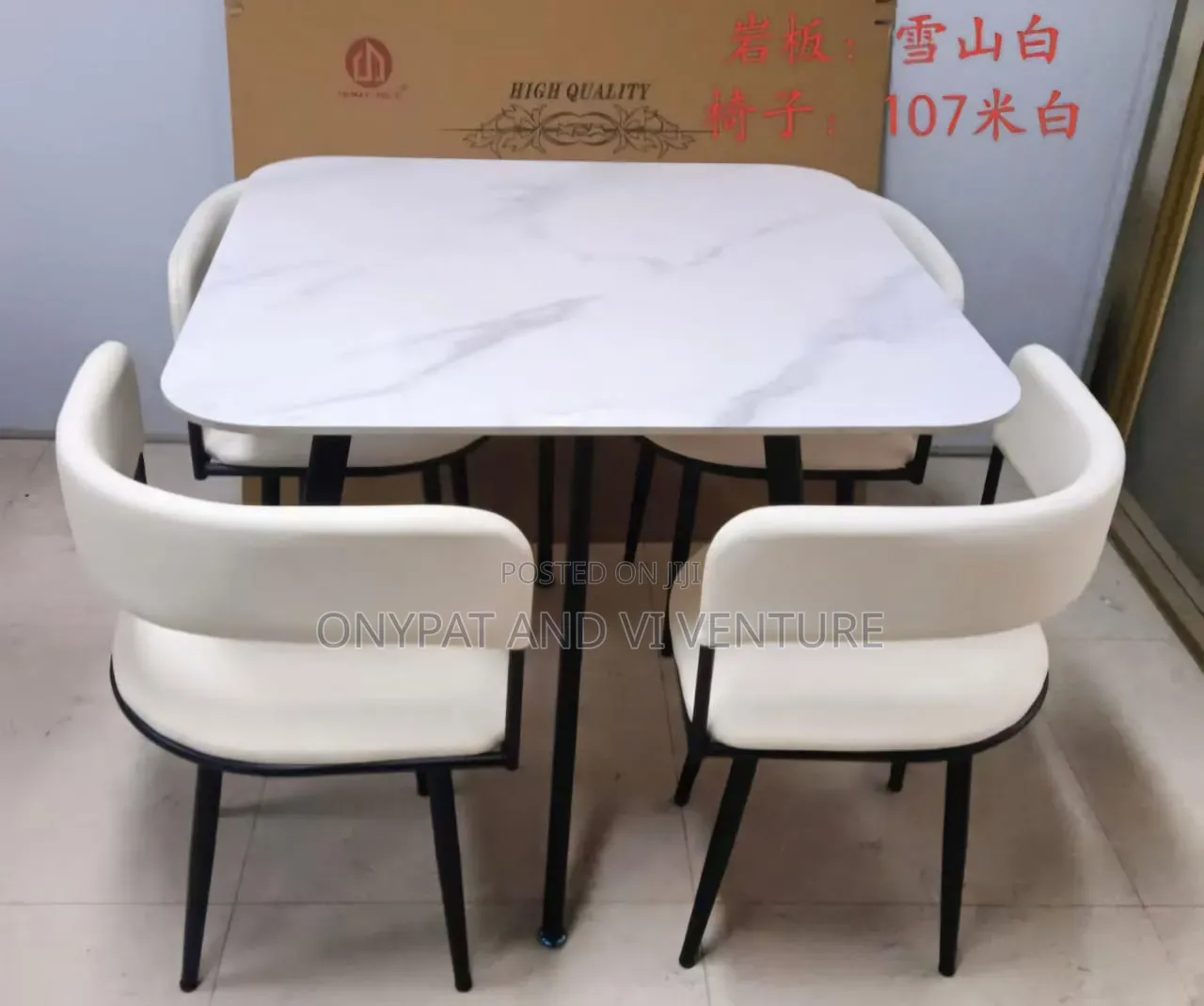 Modern Indoor Dinning Set