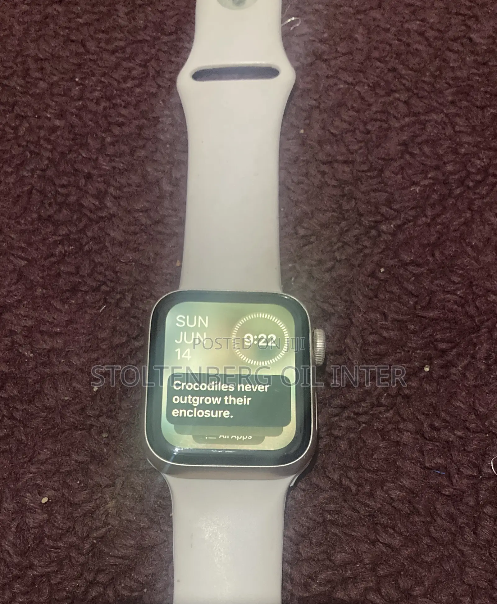 Apple Watch SE