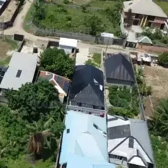 Drone Service + Professional Pilot