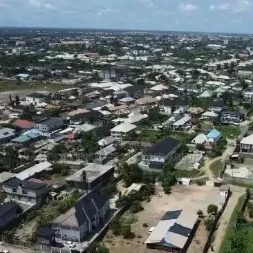 Drone Service + Professional Pilot