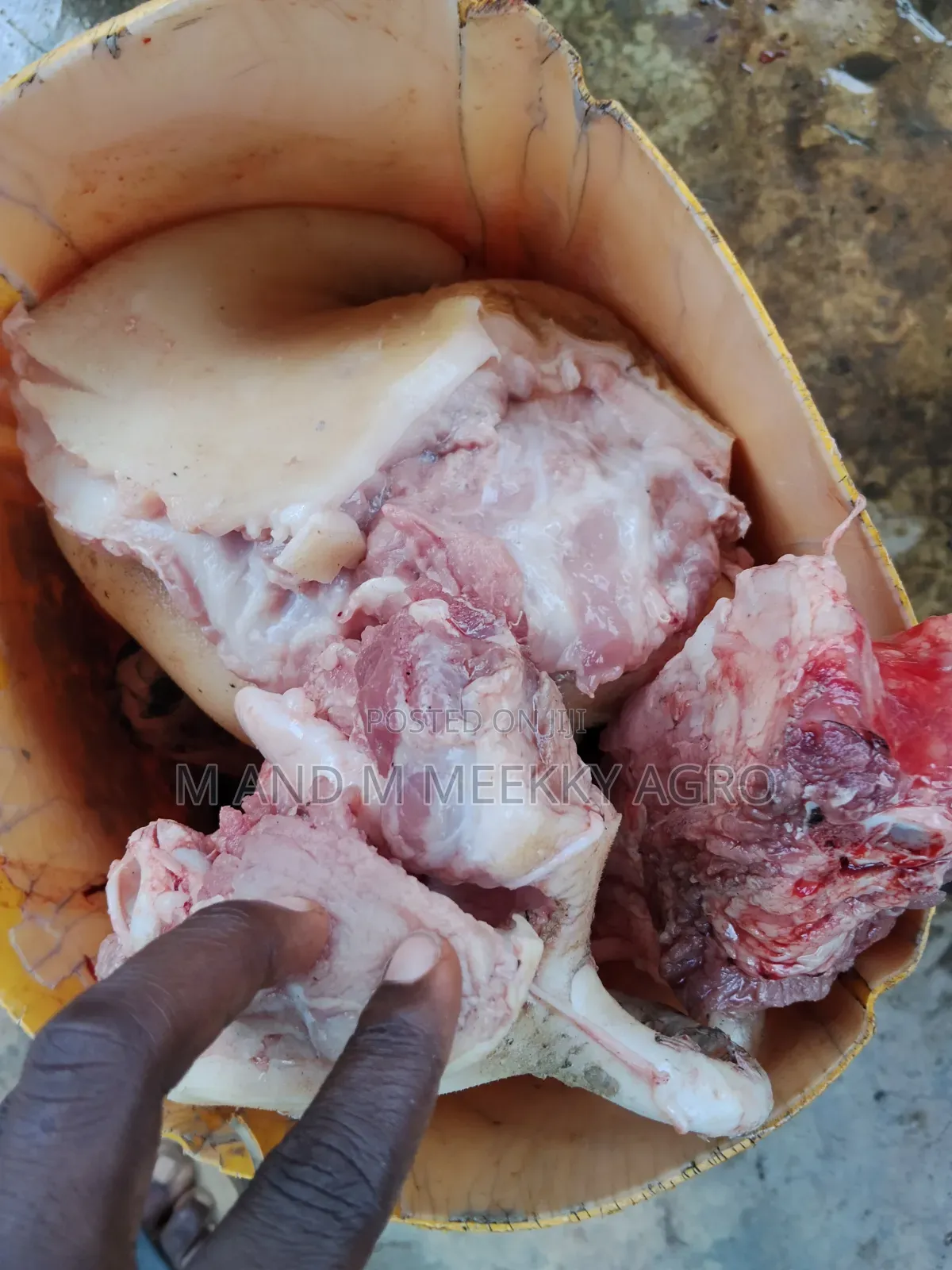 Pork Meat Fresh