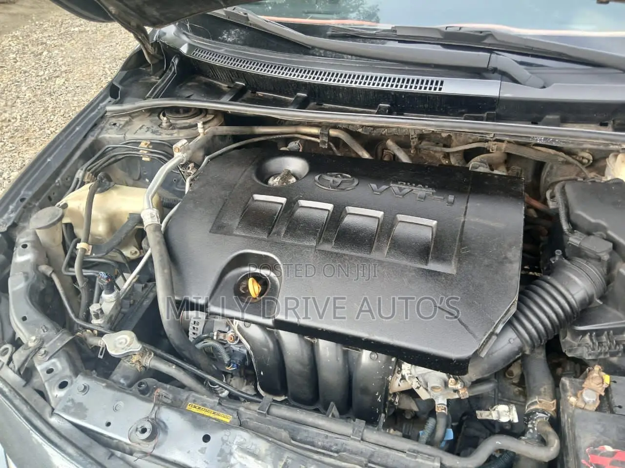 Toyota Corolla LE 4dr Sedan (1.8L 4cyl 4A) 2011 Gray