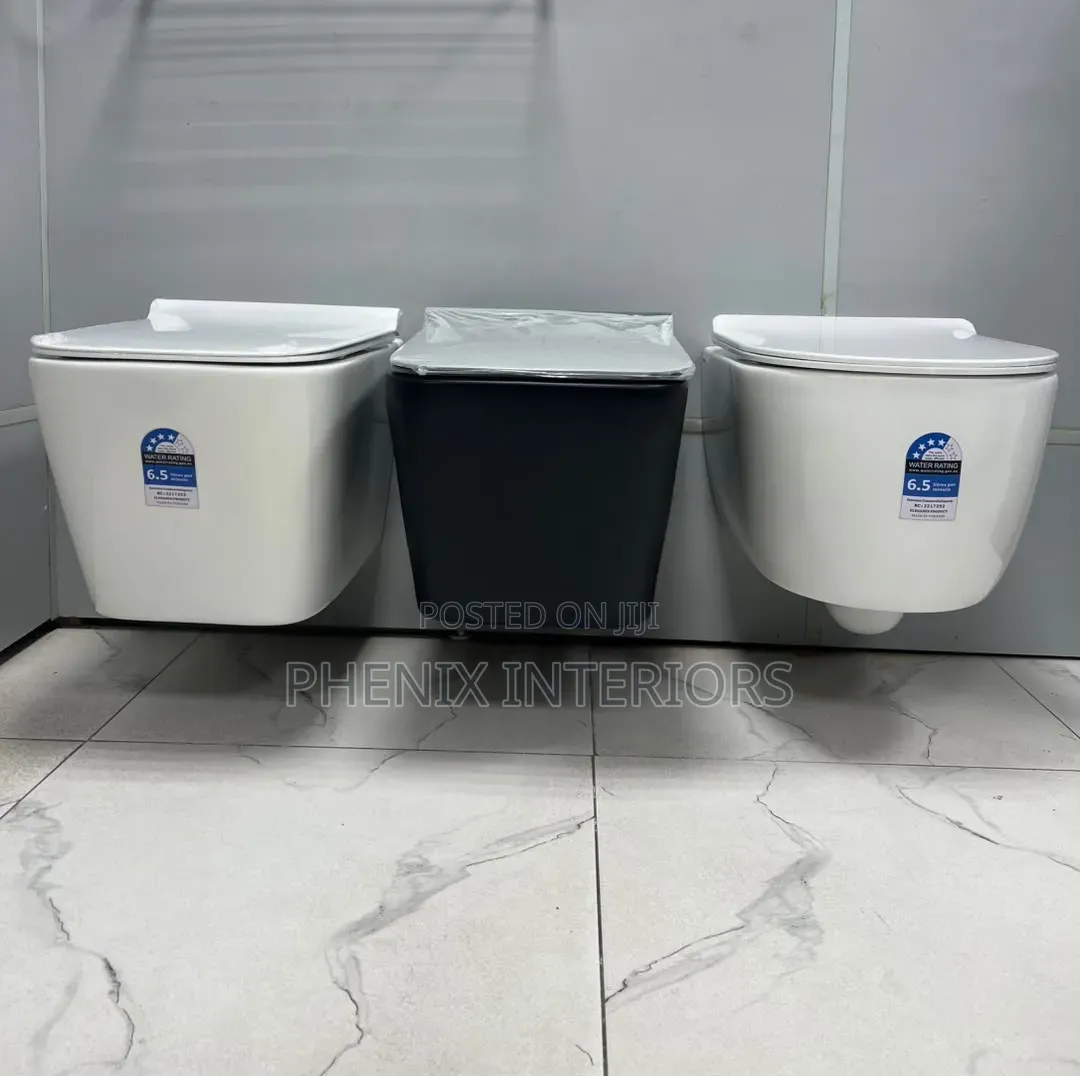 Wall Hung Concealed England Toilet Water Closet