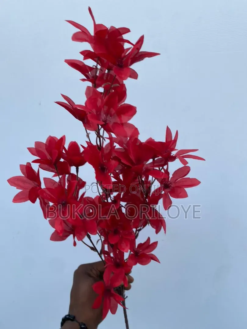 Long Stems Flower Rentals Service