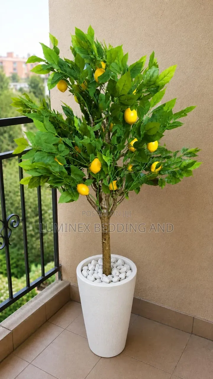 Flower Plant