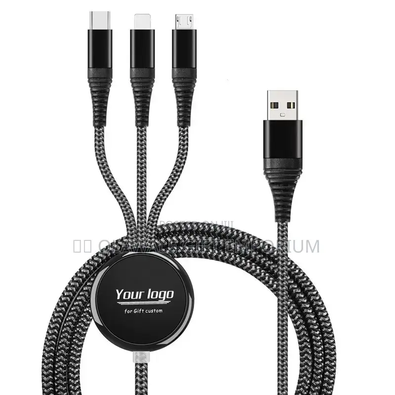 Three and One Long Cord Charger