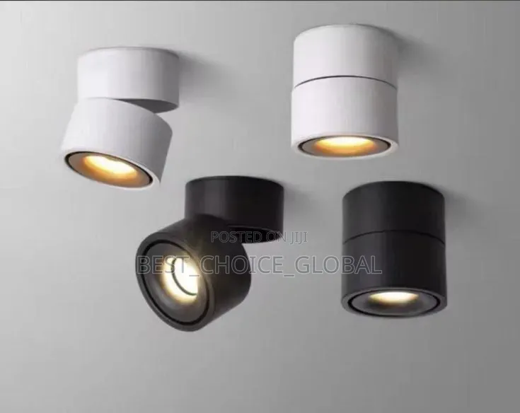 Original Classic Cob Down Light Rotating