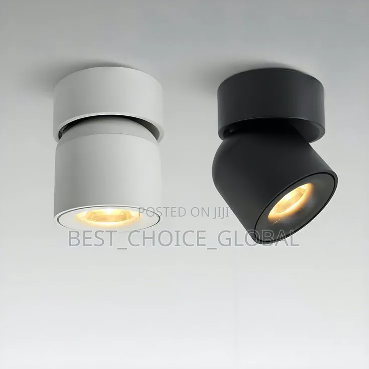 Original Classic Cob Down Light Rotating