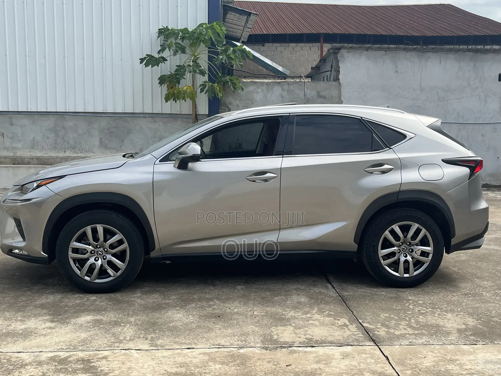Lexus NX 300 FWD 2018 Gray