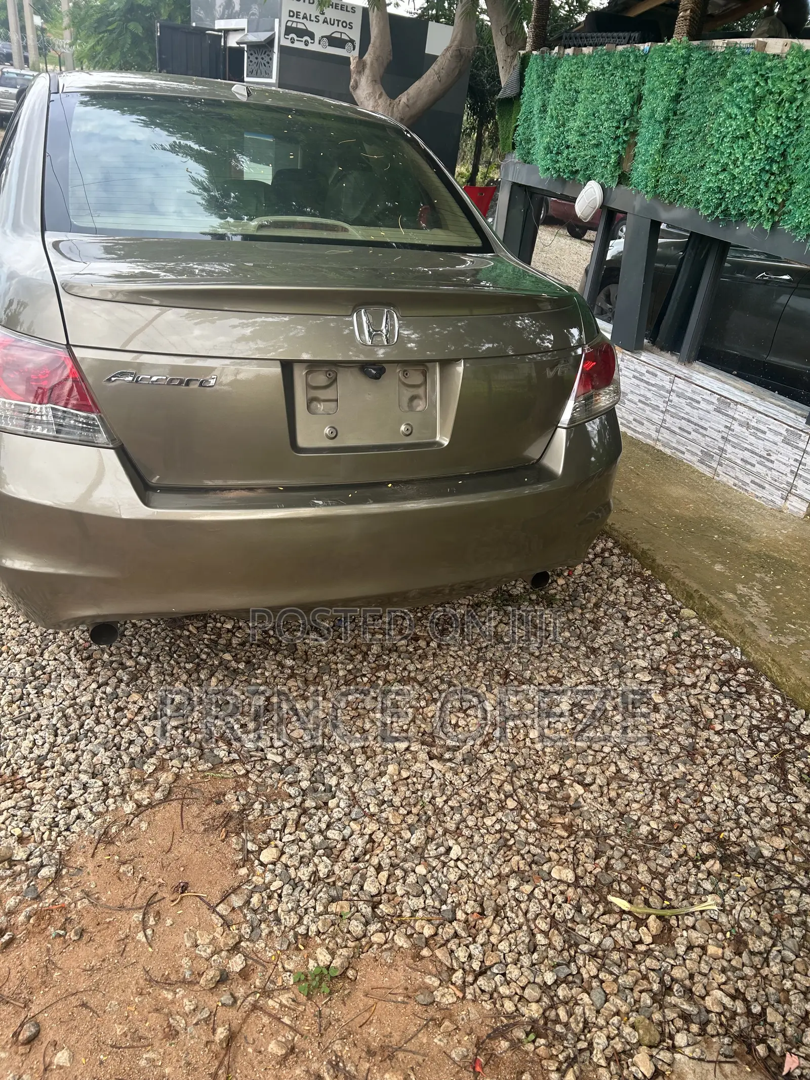 Honda Accord 2009 Gold