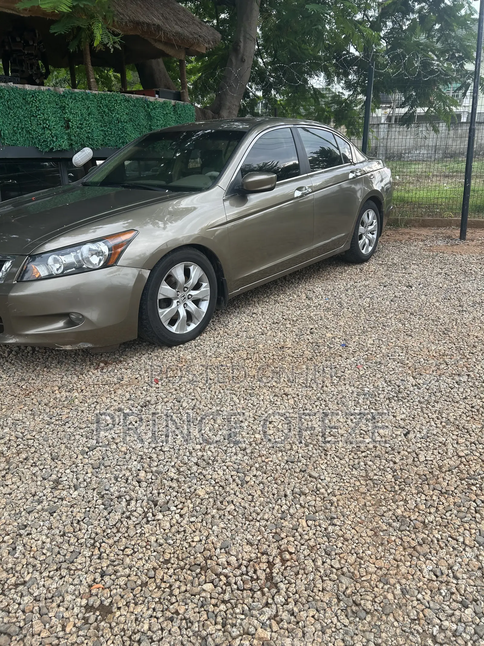 Honda Accord 2009 Gold