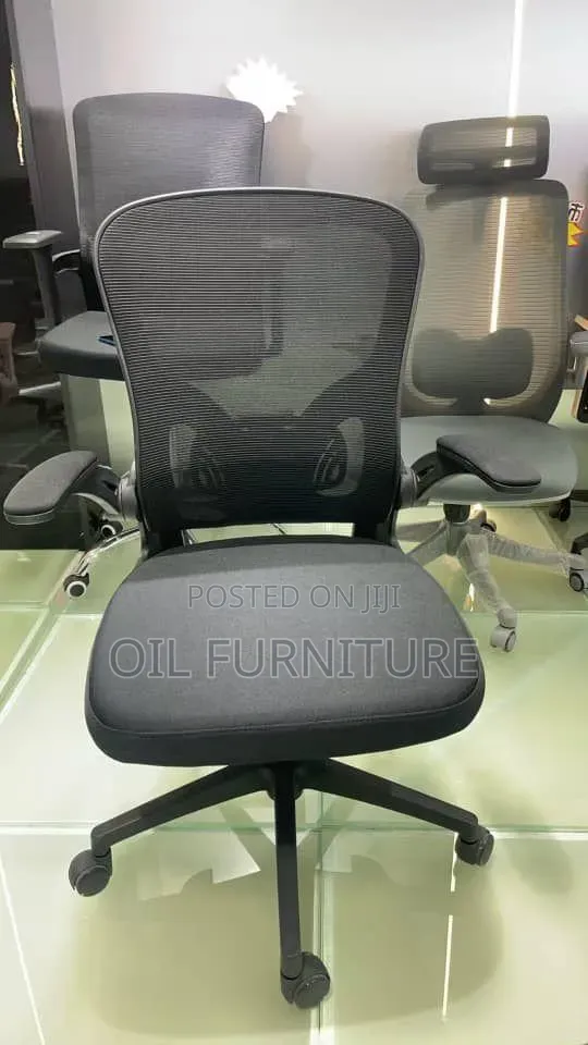Premium Orthopedic Computer Desk Chair – Adjustable Lumbar Support
