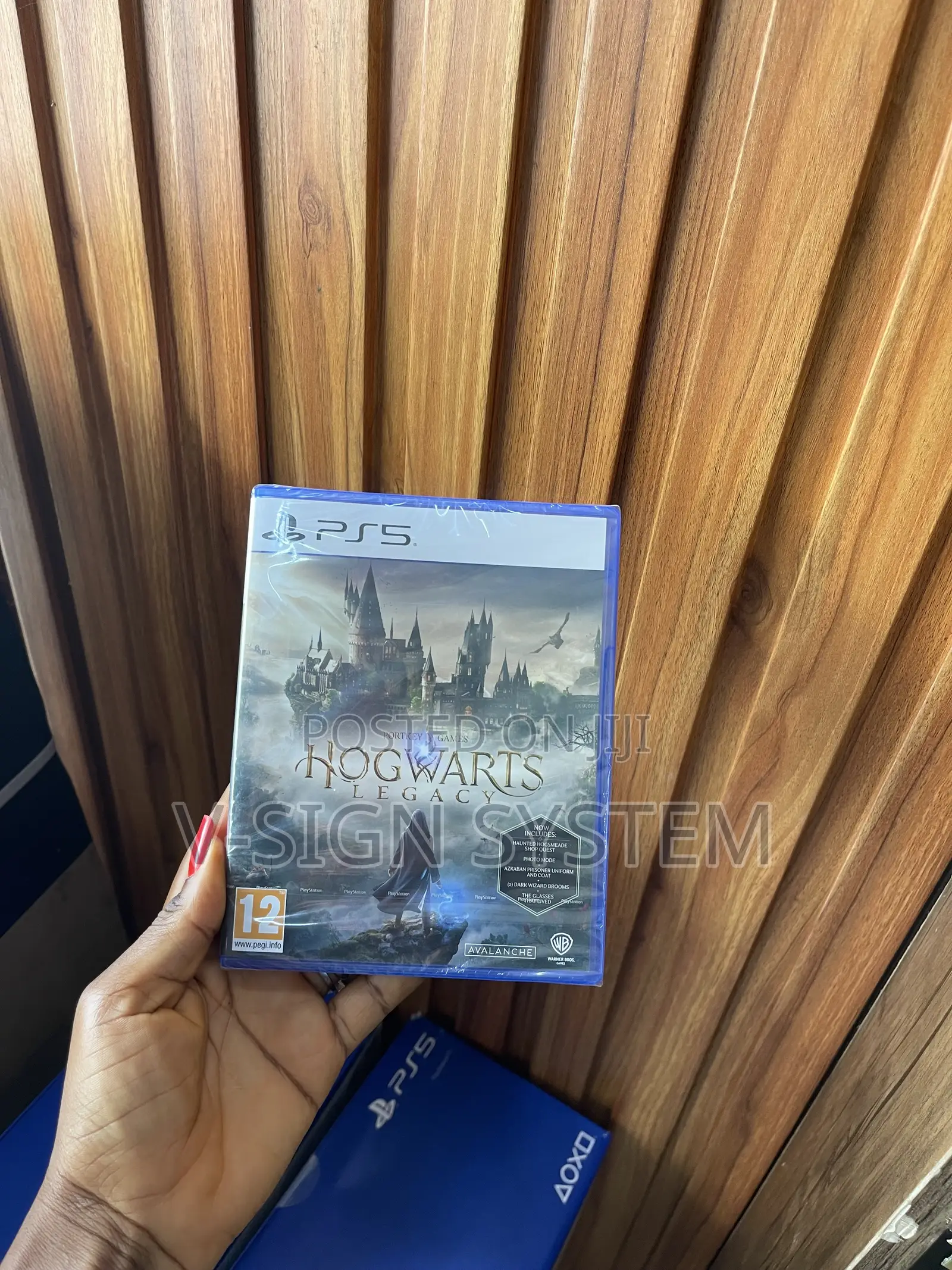 Hogwarts Legacy Ps5