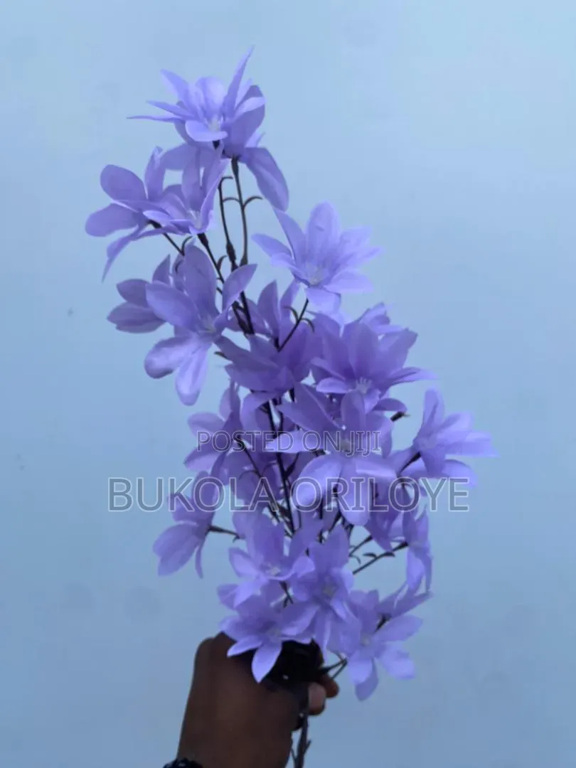 Lilac Long Stems Flower Rentals Service